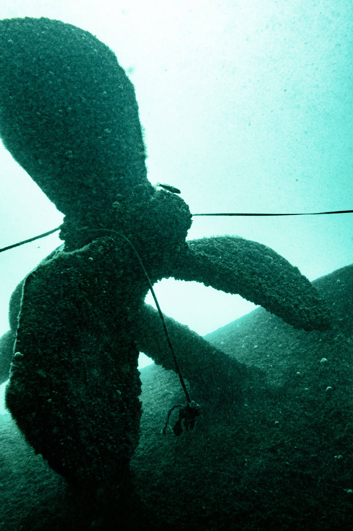 Underwater photo of a large propeller on the Henry C. Daryaw shipwreck