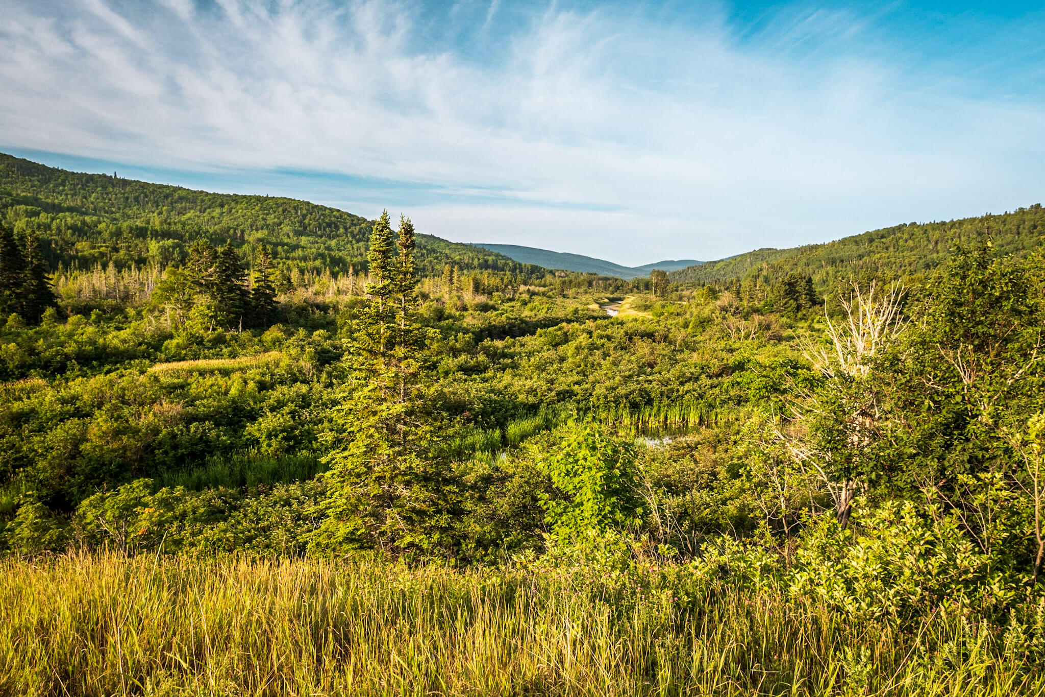 The lush green river valley along the La Vallée trail in Forillon National Park