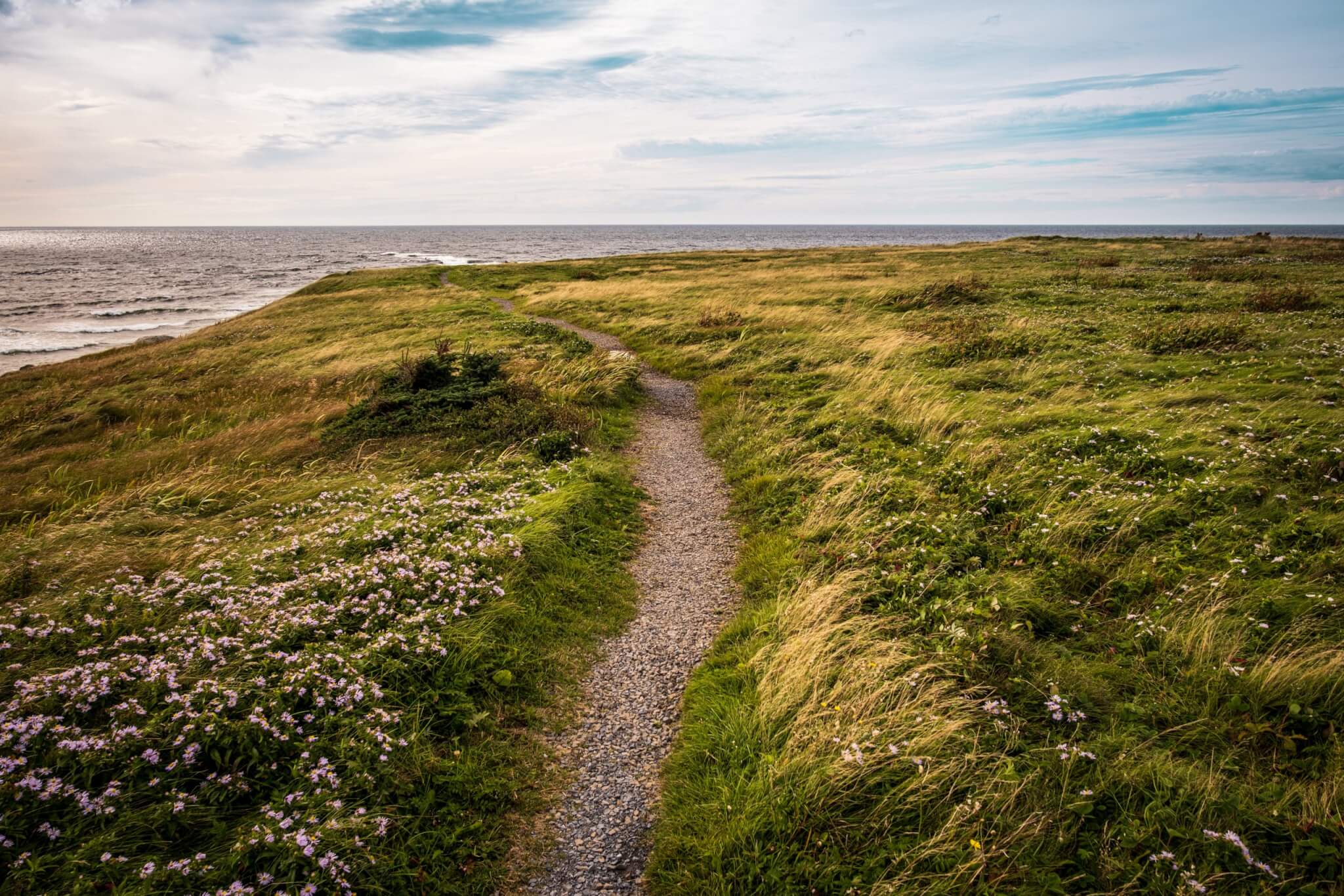 The trail at the top of Green Point in Gros Morne National Park