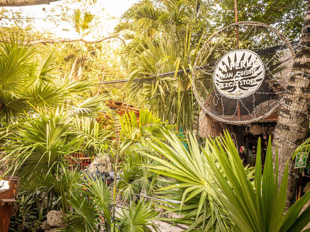 The front of La Perla Pixan restaurant surrounded by palms in Playa del Carmen