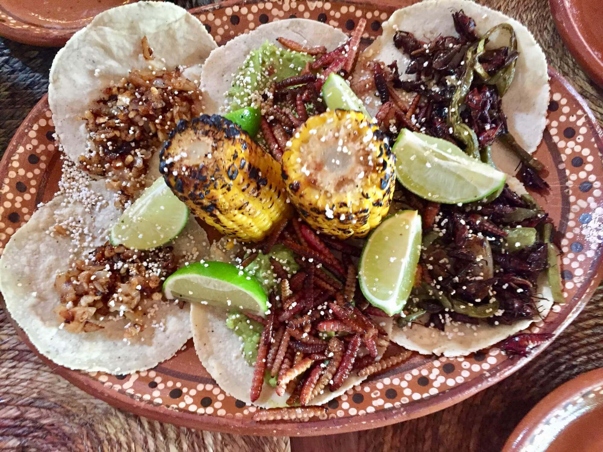 The pre-hispanic platter (bugs, grubs and all) at La Perla Pixan in Playa del Carmen
