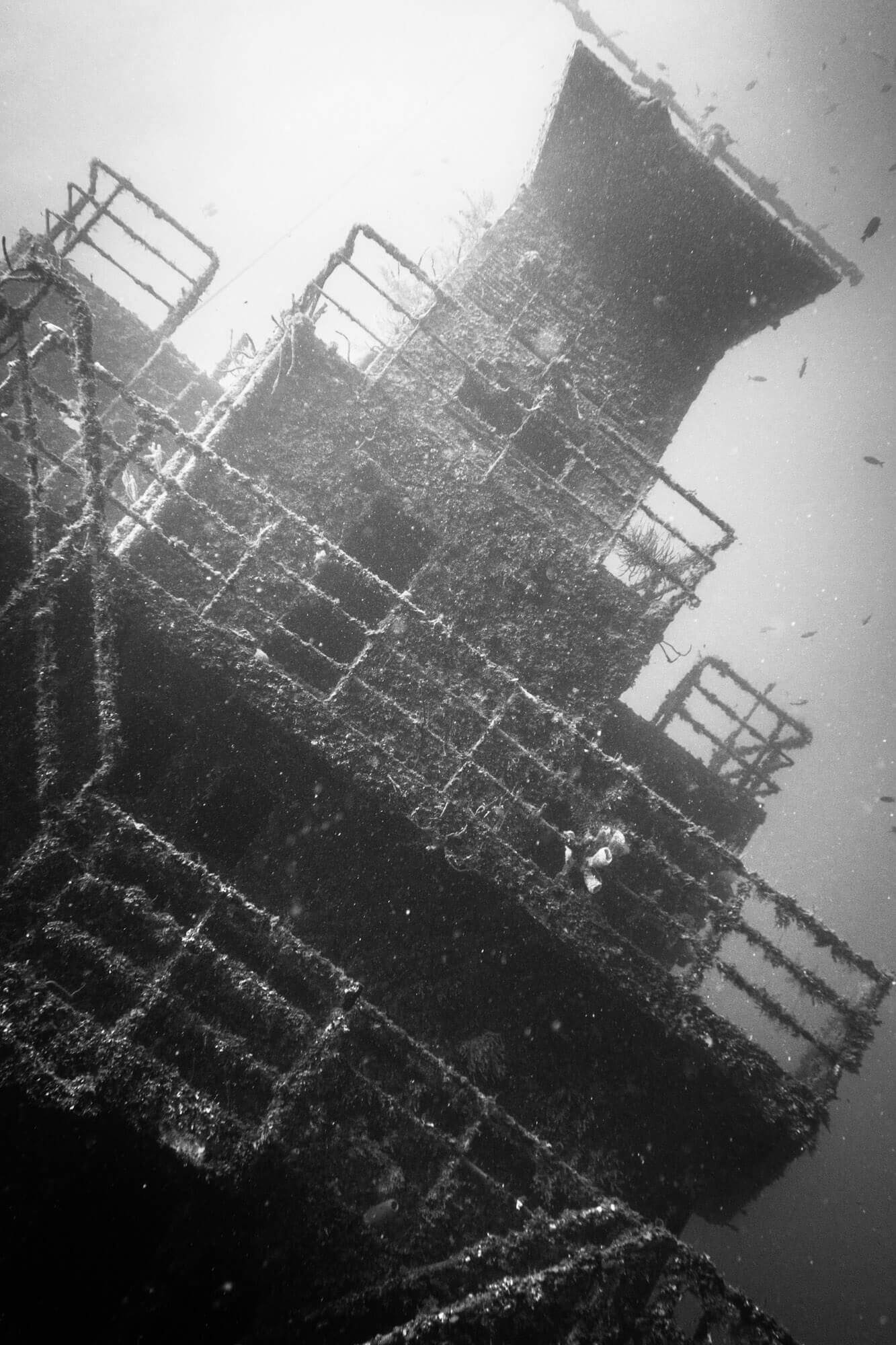 The Odyssey wreck in Roatán