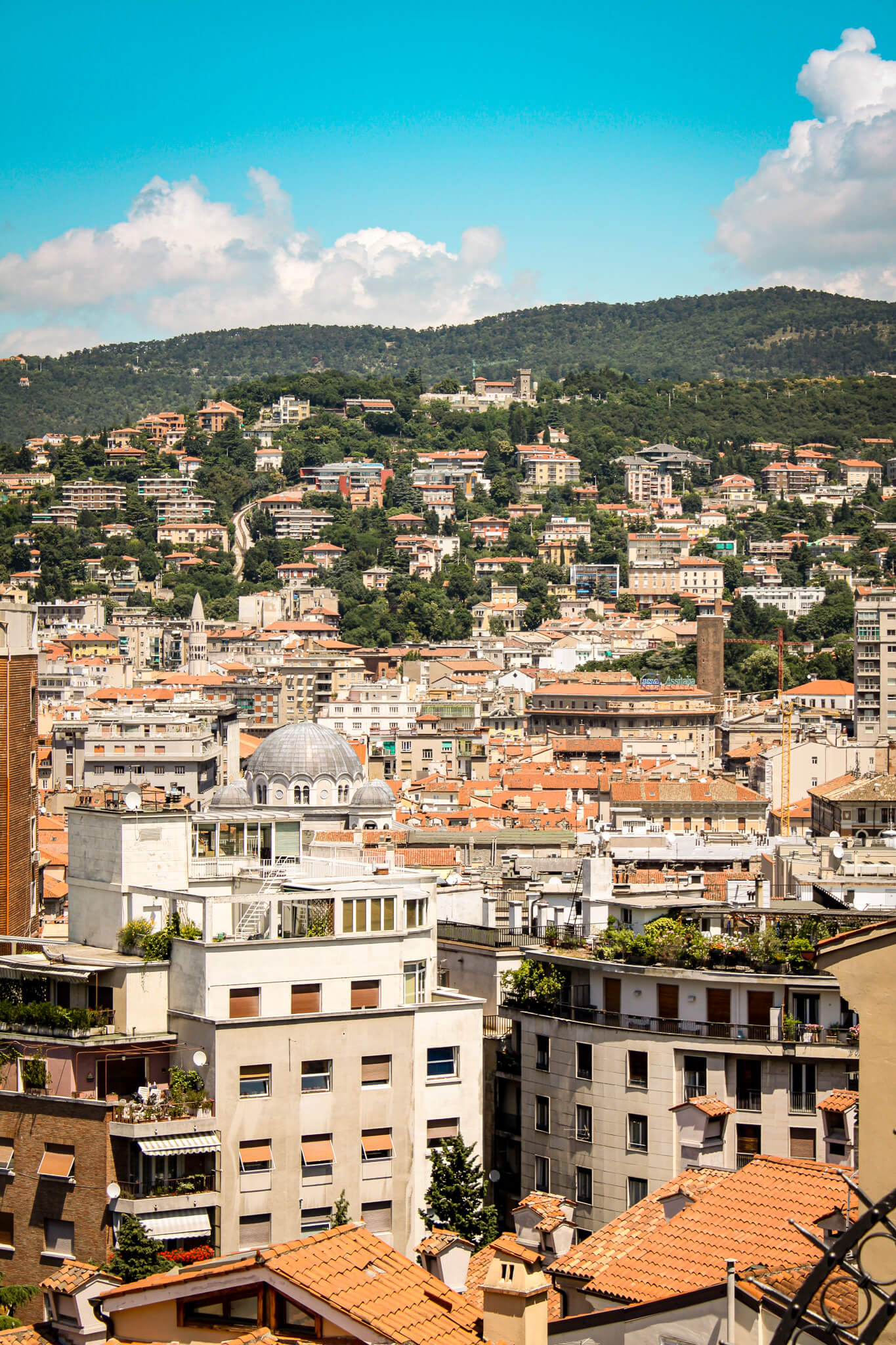 View of Trieste