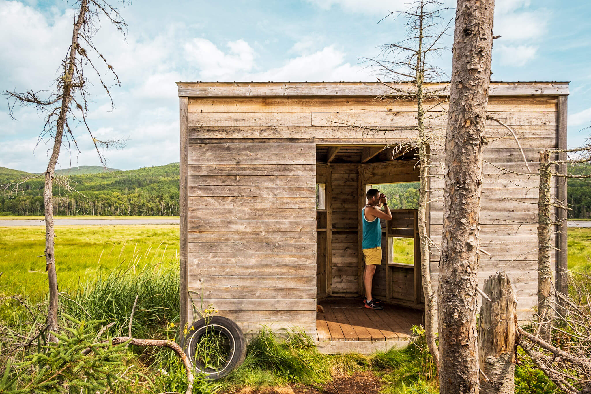 Observing wildlife in a wildlife observation blind at La Penouille