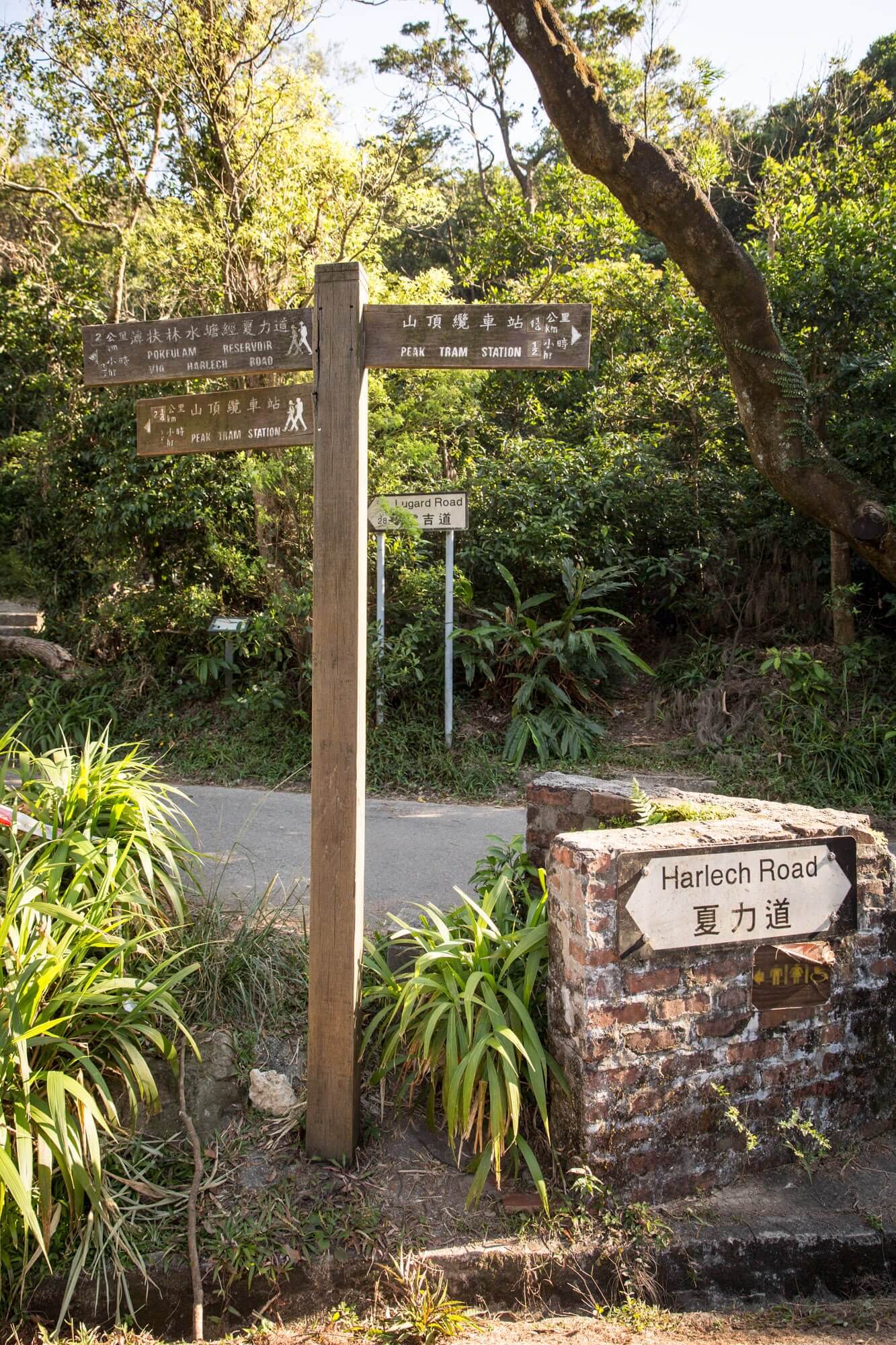 Direction markers along the Lugard Road, Harlech Road and Morning Trail