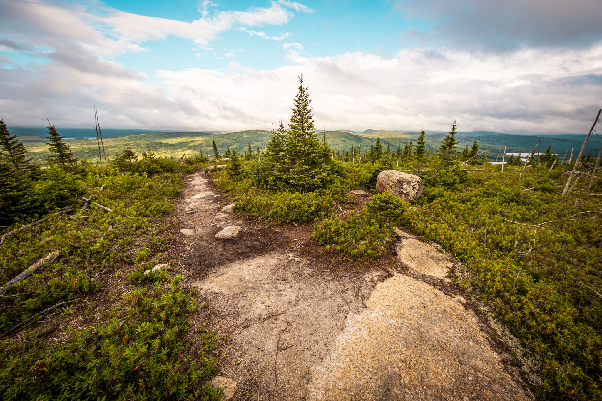 View at the summit of Le Brûlé trail at Parc national des Grands-Jardins