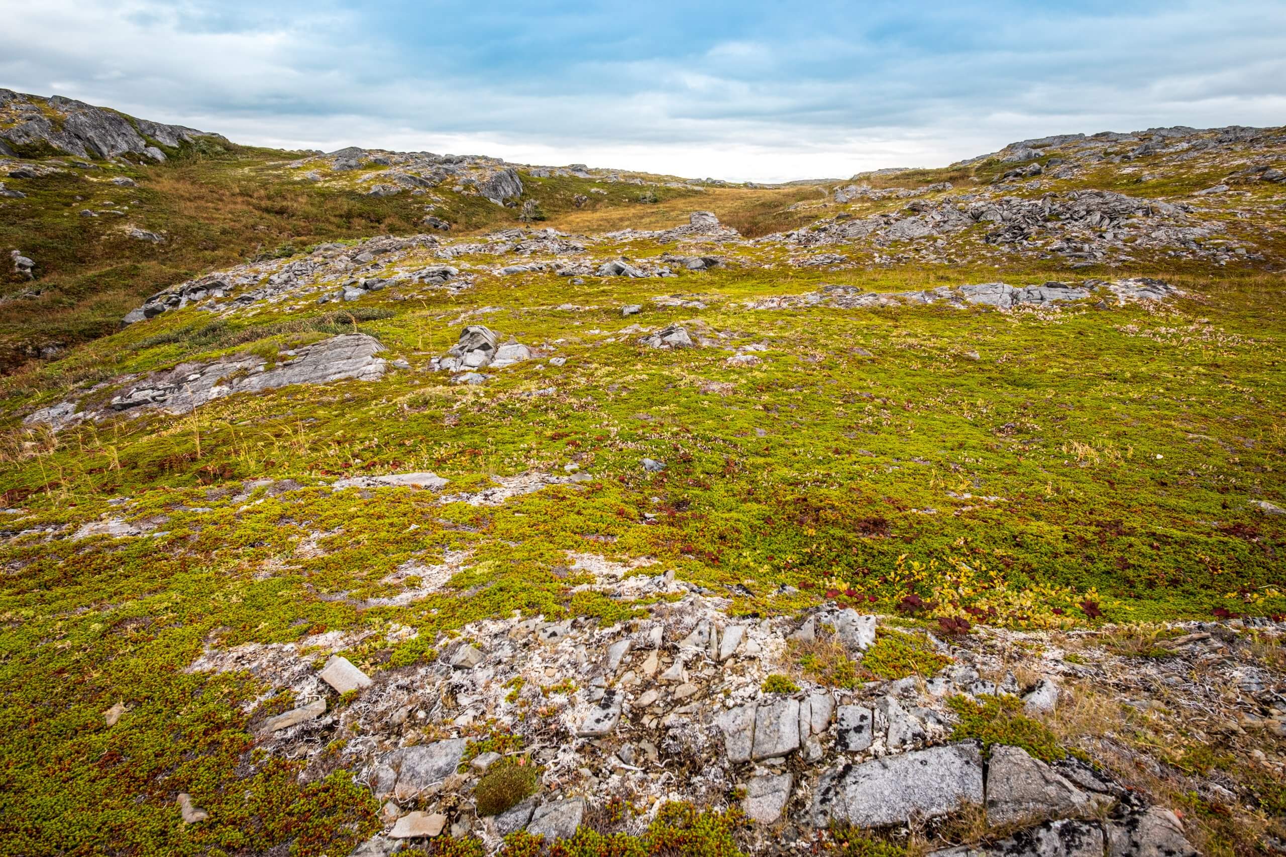 Rocky landscape at L’Anse aux Meadows