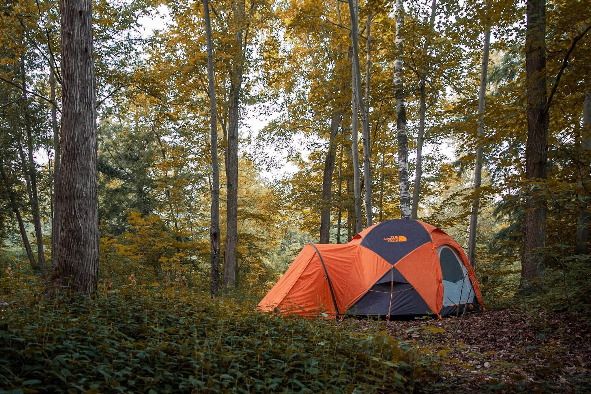 The North Face Northstart 4 tent in the woods