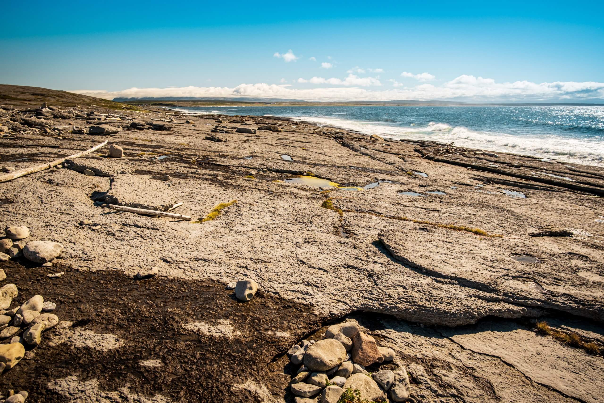 The limestone barren landscape of Port au Choix, Newfoundland