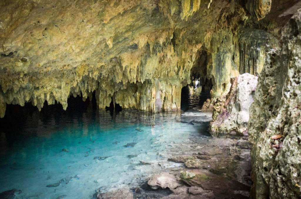 Cenote Pet Cemetery in the Riviera Maya