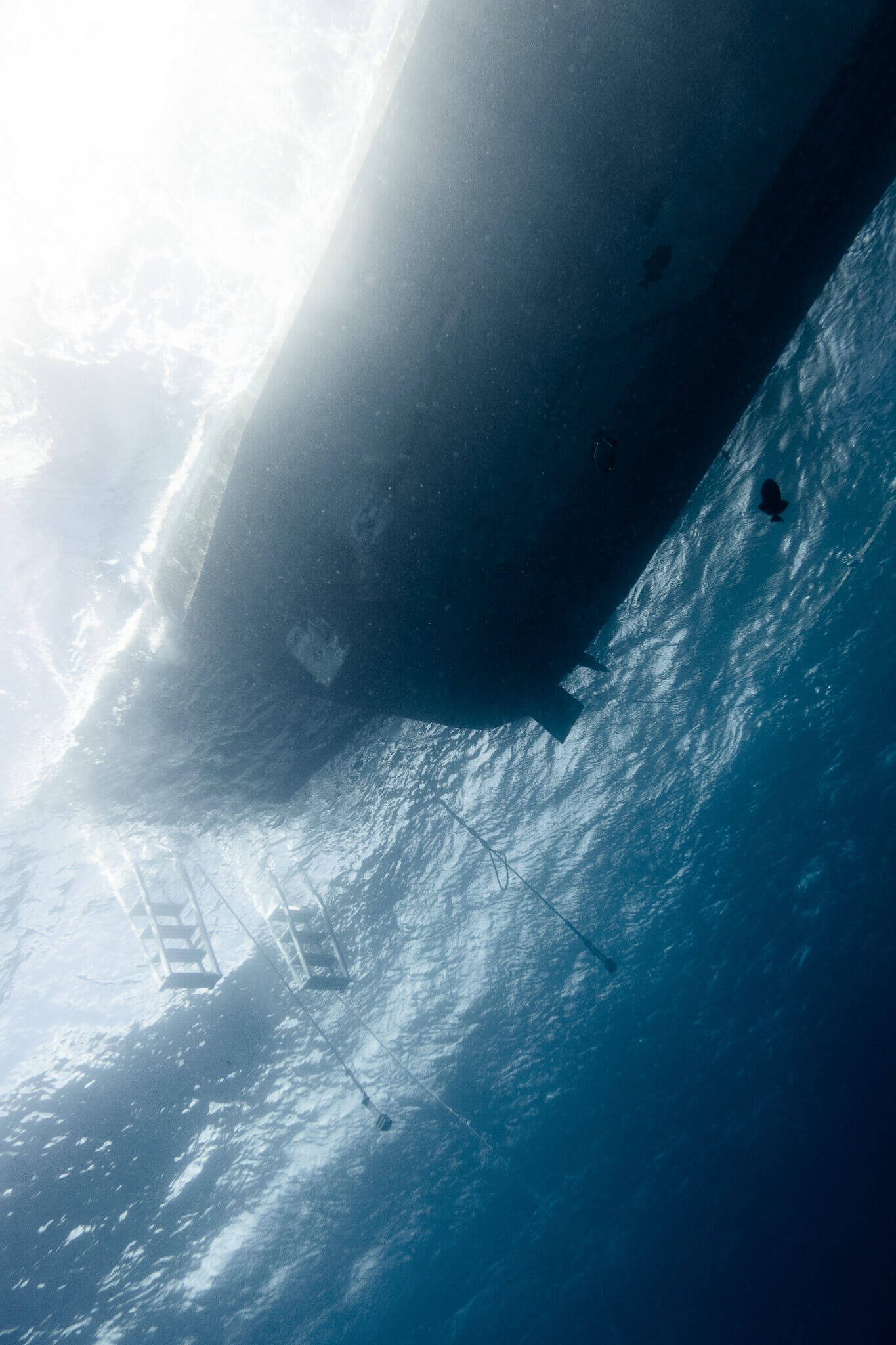 The bottom of a liveboard yacht as seen from underwater during a dive