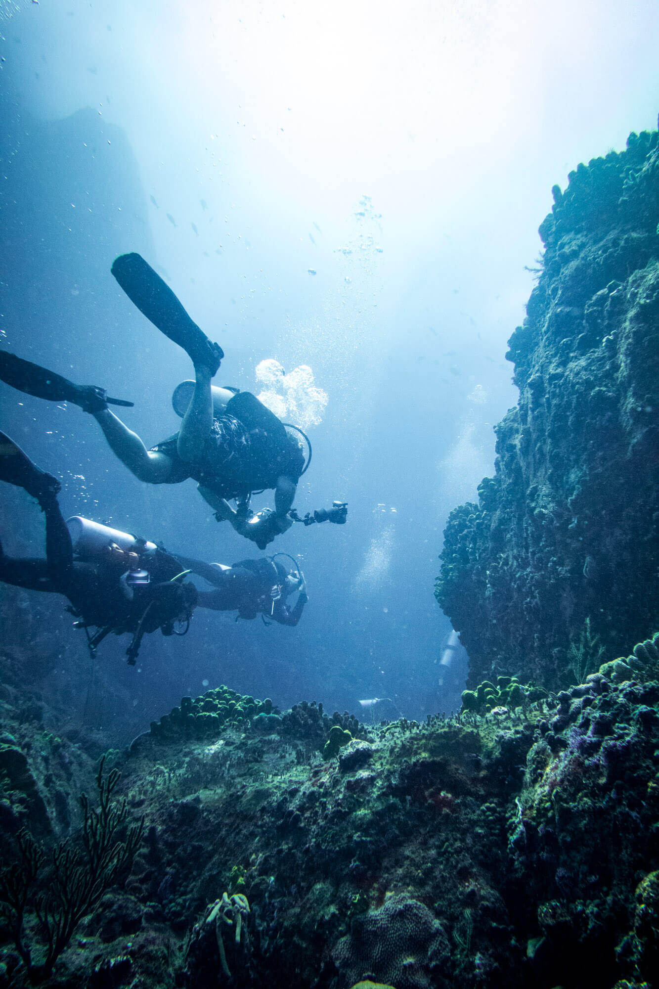 Scuba diving at Diamond Rock in Saba