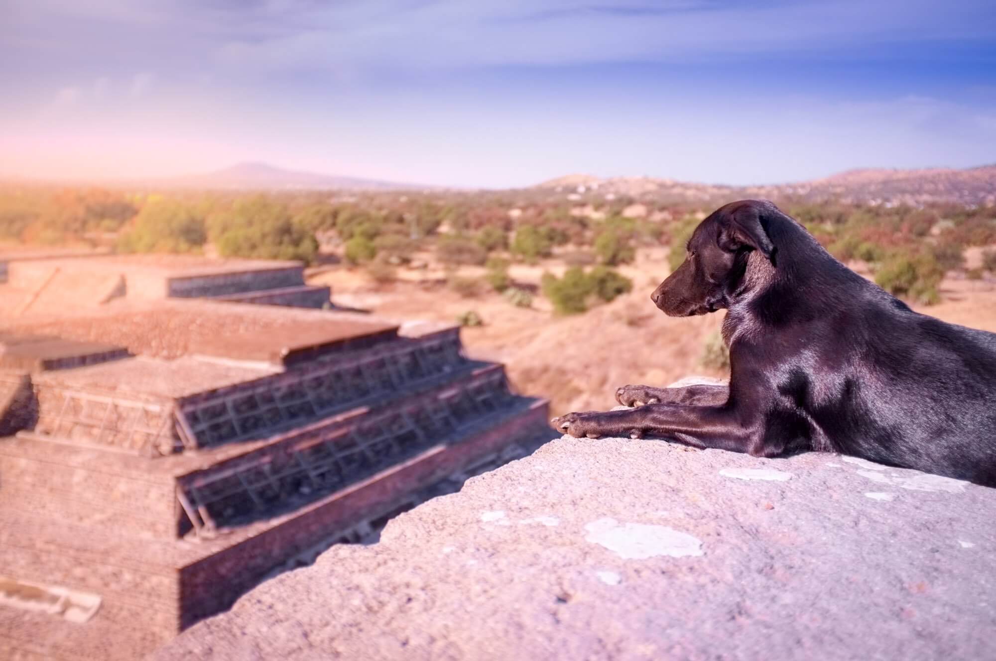 Stunning views of the desert from the Pyramid of the Moon at Teotihuacan