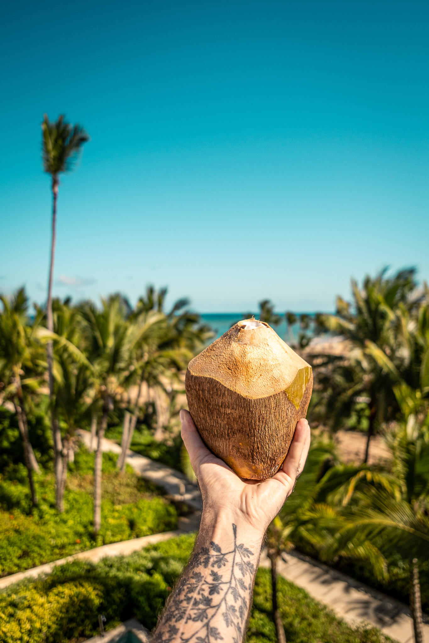 Enjoying a French coconut with rum on our rooftop terrace at Excellence El Carmen