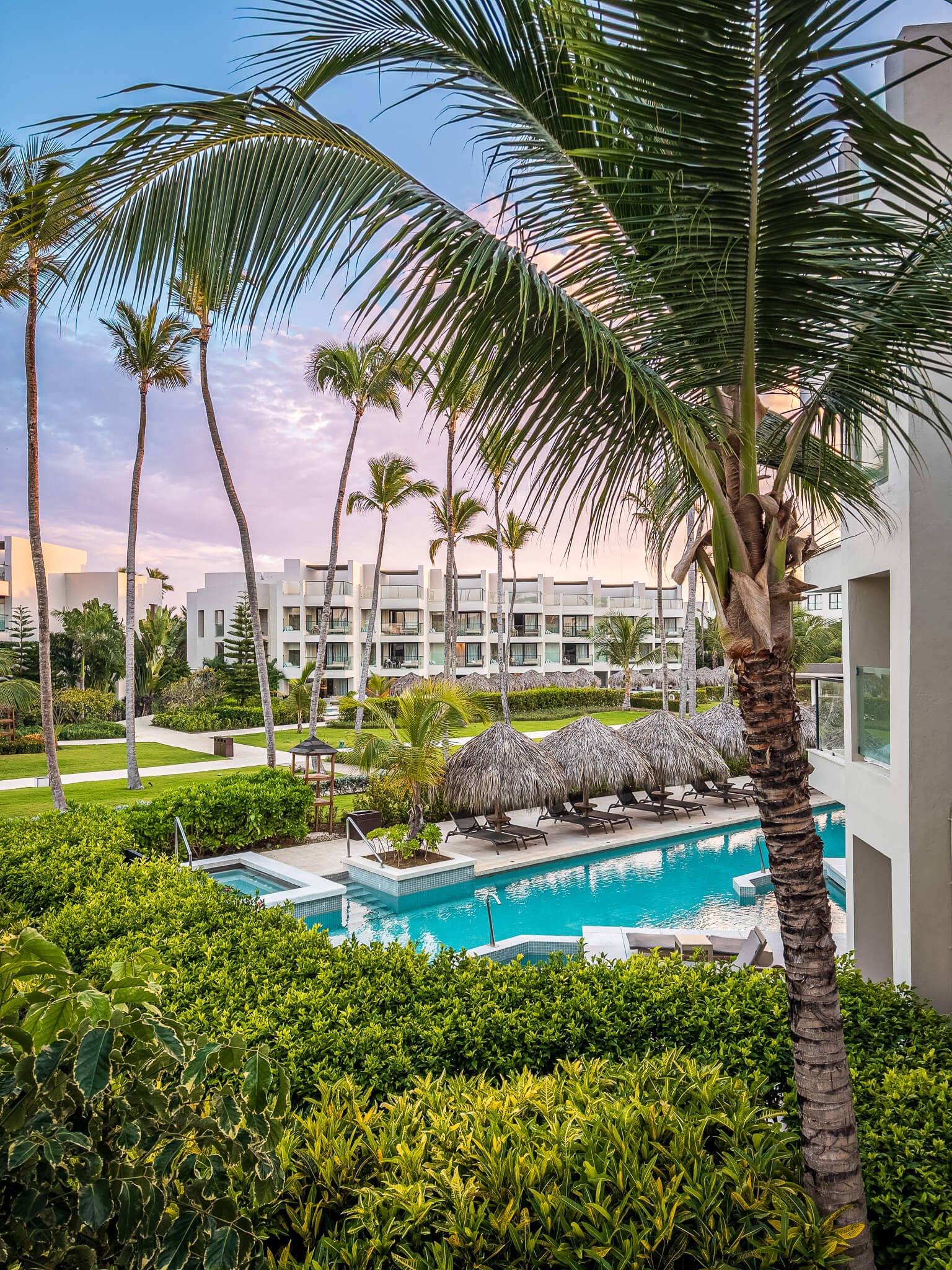 Palm tree and shrubs with a swim-up pool and palapas in the background