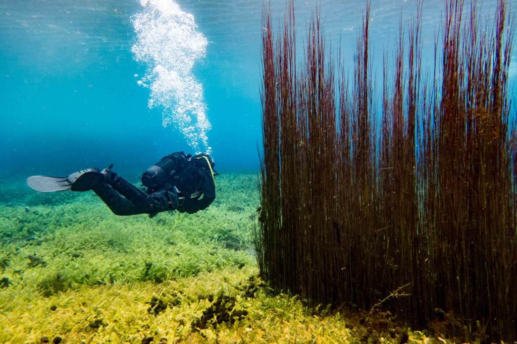 Keith returning to the shore after our dive in Capo d'Acqua