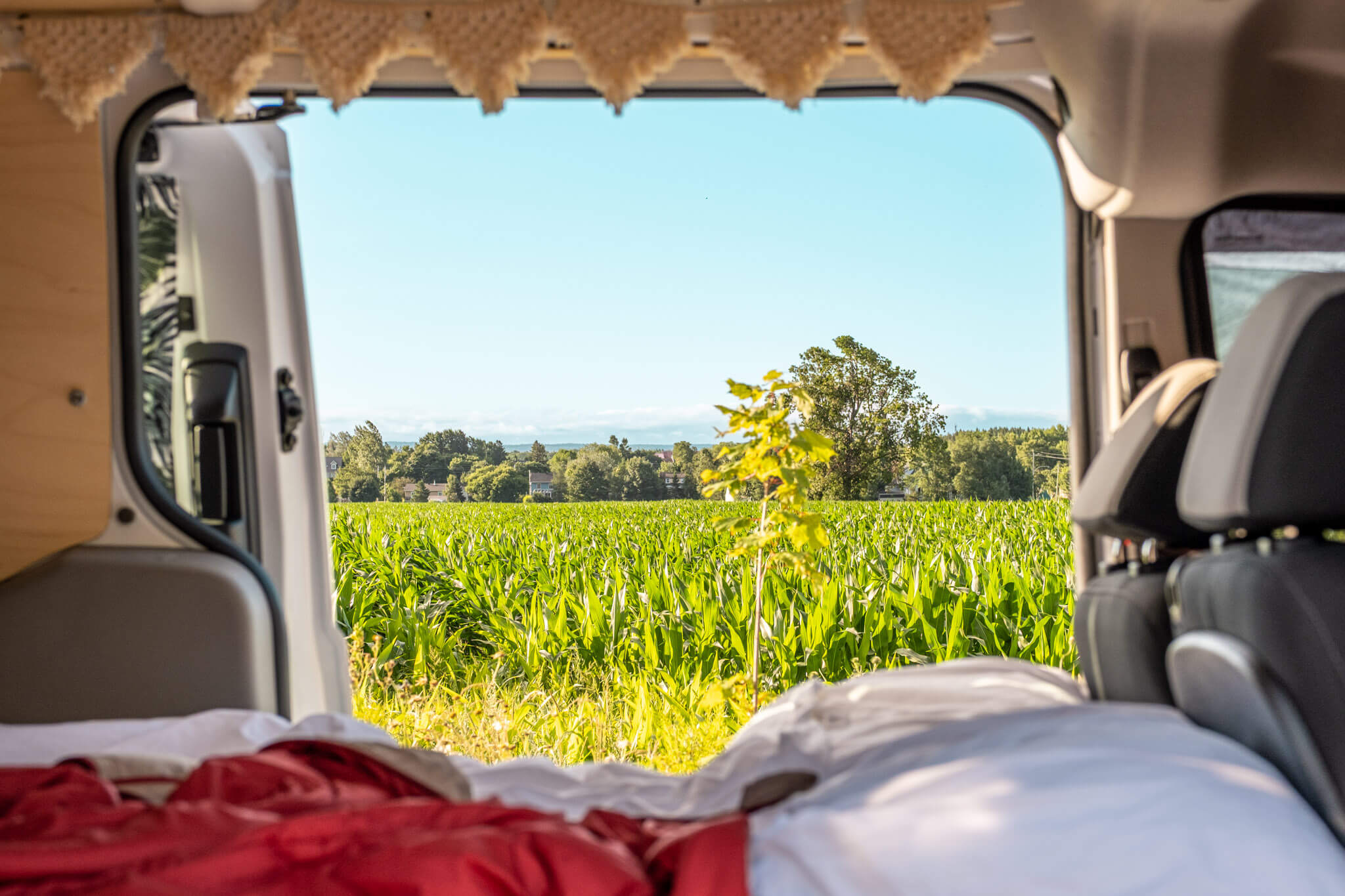 View from inside a Transit Connect camper van looking out to a field in Berthier-sur-Mer, Quebec