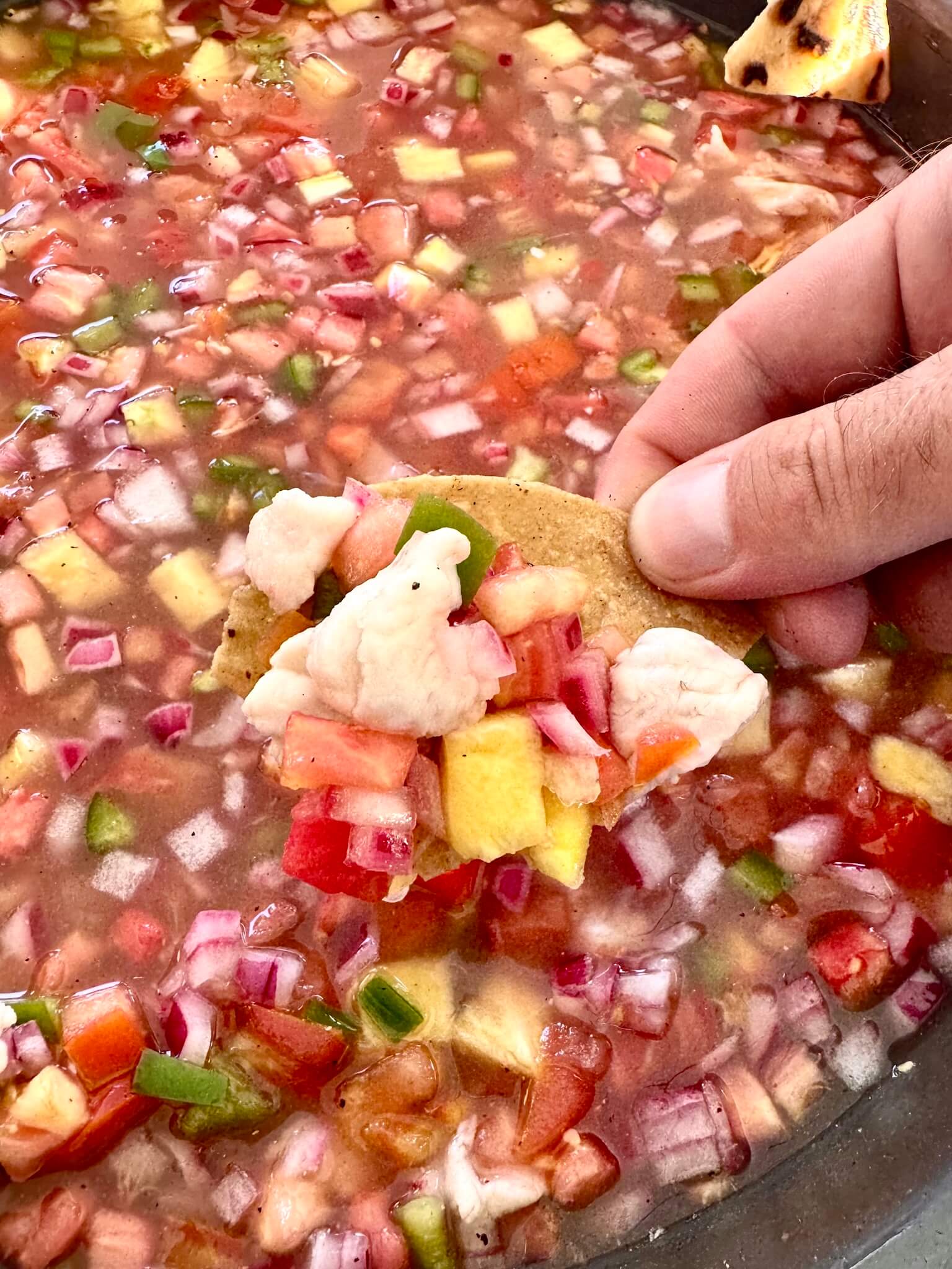 Large bowl of lionfish ceviche made with freshly-caught lionfish in Utila