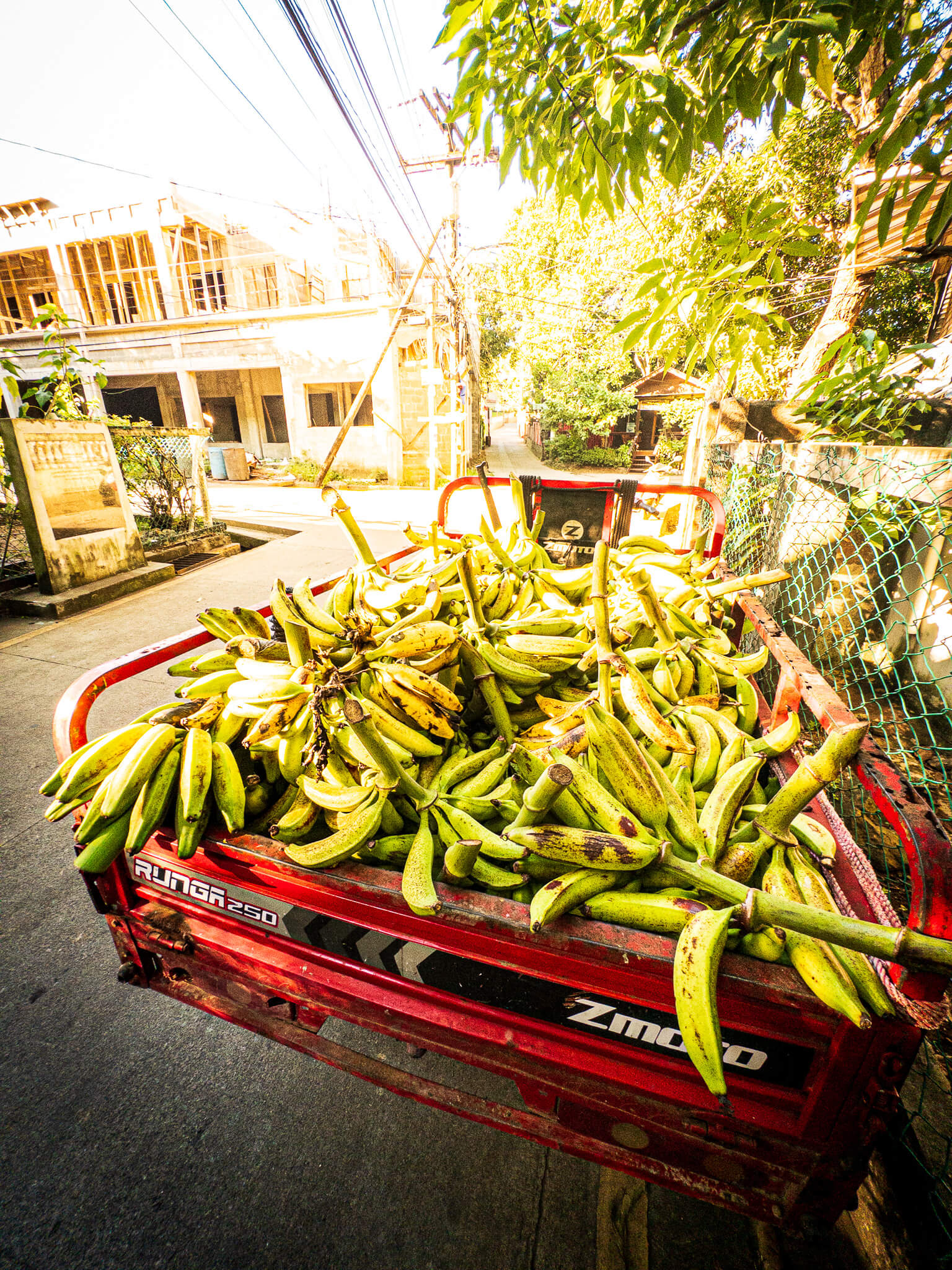 A truckload of plantains in Utila