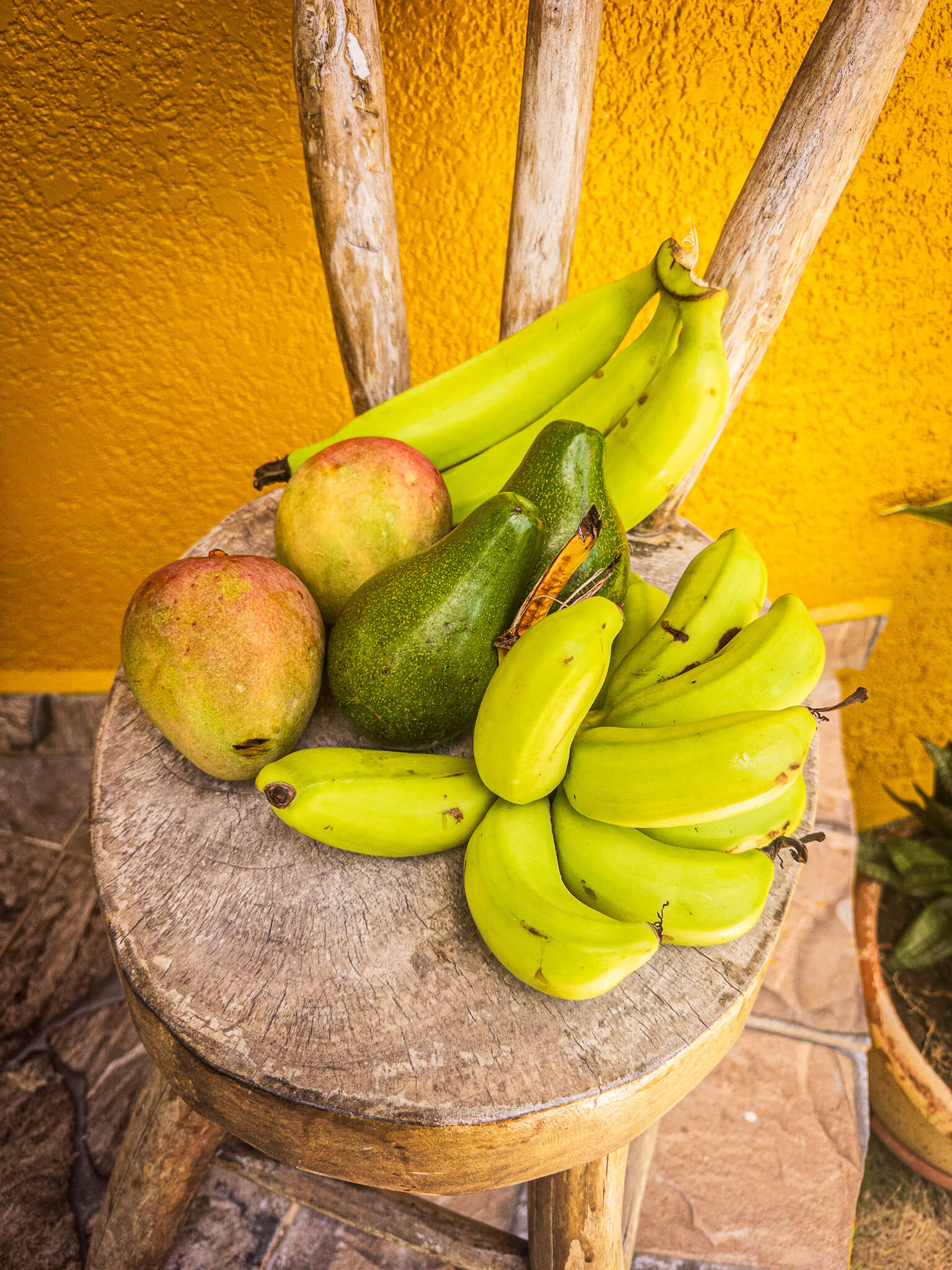 A spread of fresh Utila-grown fruit including mangos, avocados, bananas and plantains