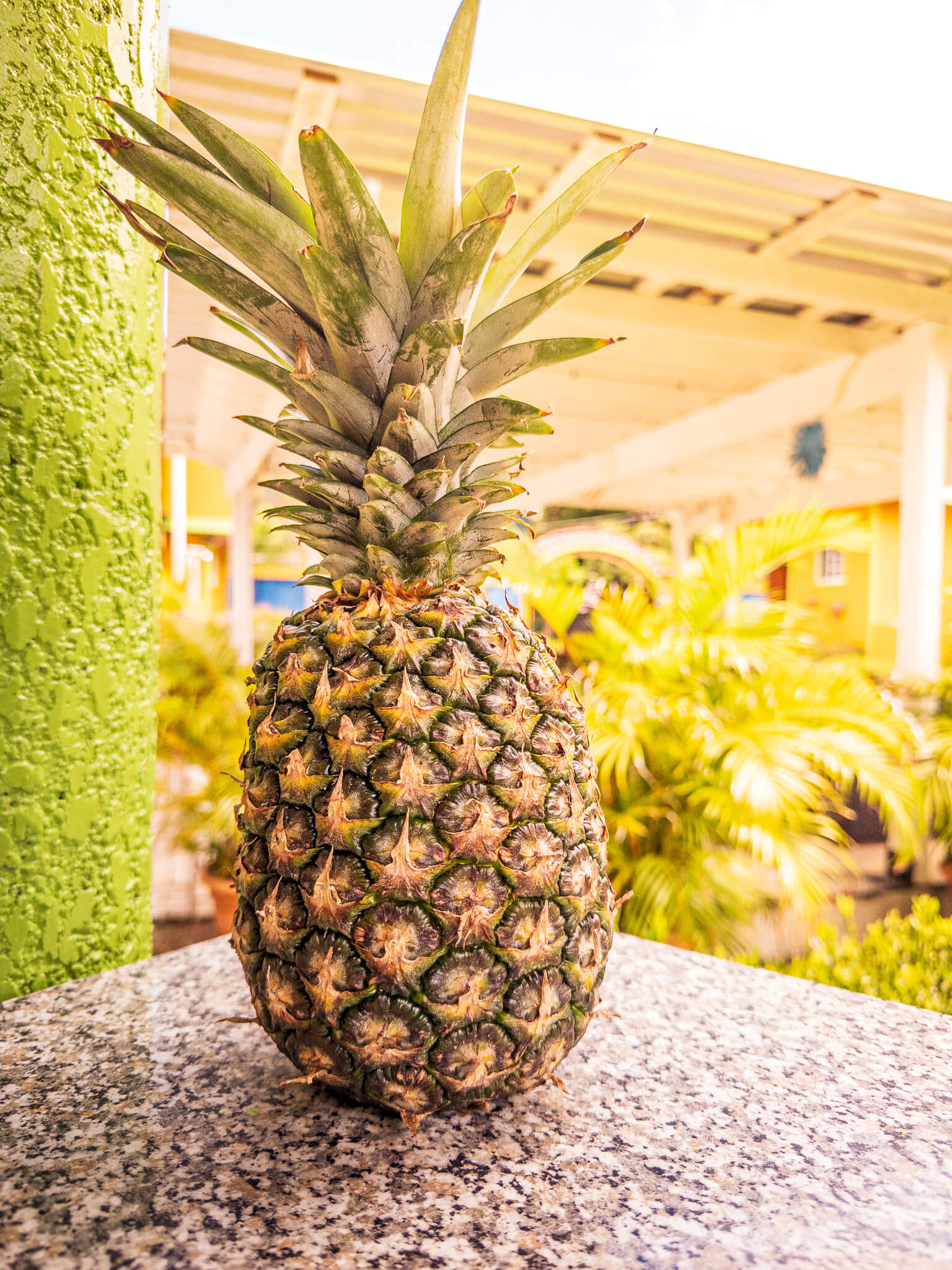 A fresh Honduran pineapple on an outdoor table