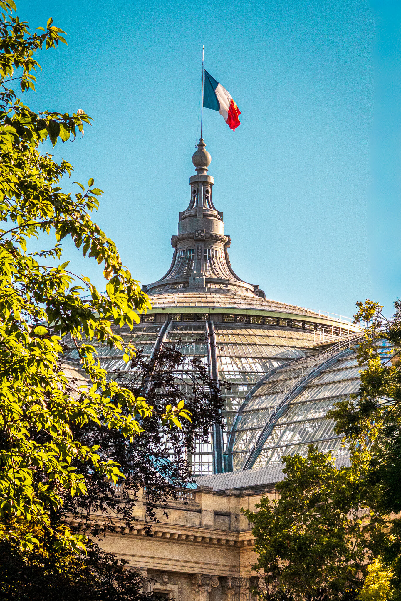 The dome of Grand Palais in Paris